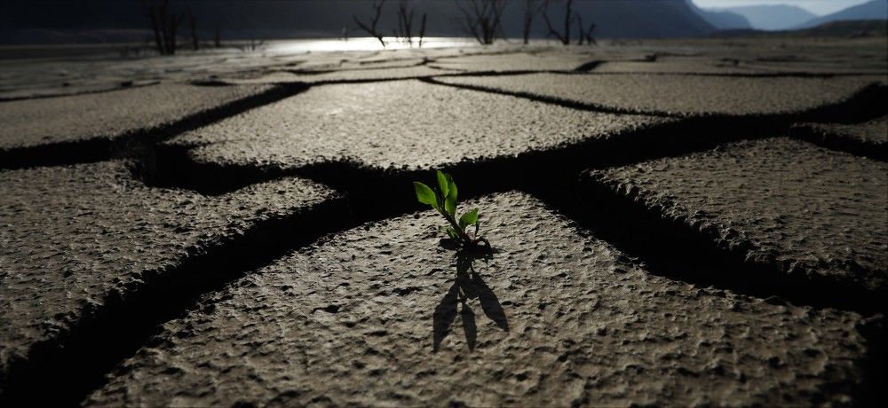 Photograph by Максимушкина Ольга