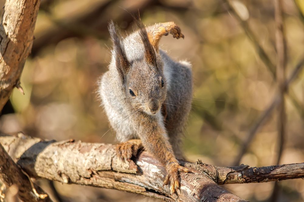 Photograph by Владимир Колесников