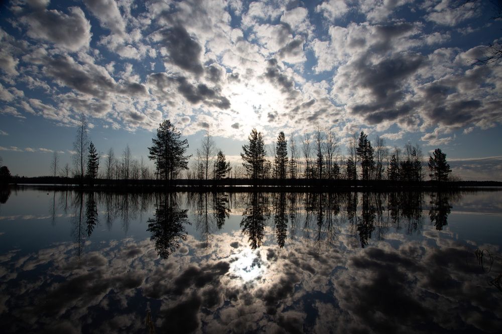 Photograph by Lev Kaufman