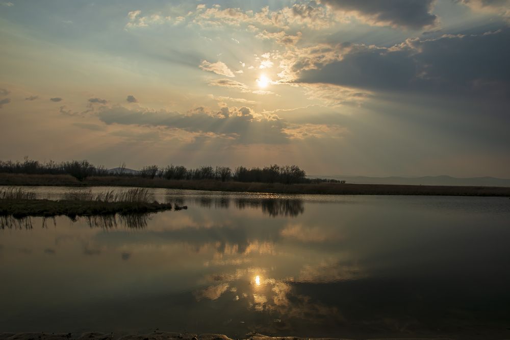 Photograph by 