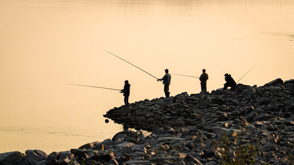 Photograph by Игорь Иванов