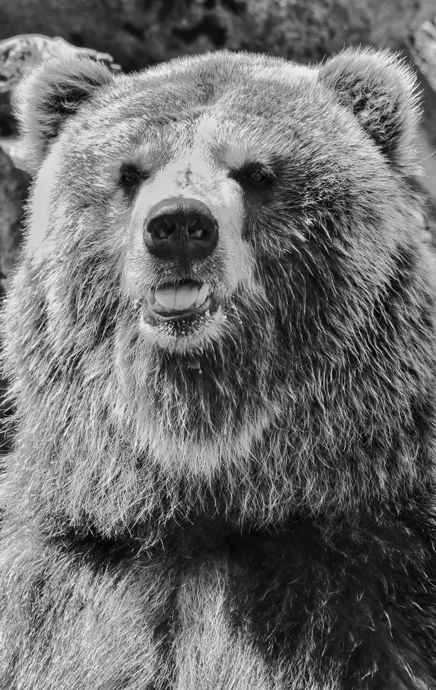 Фотография автора Ghadir Vaghari