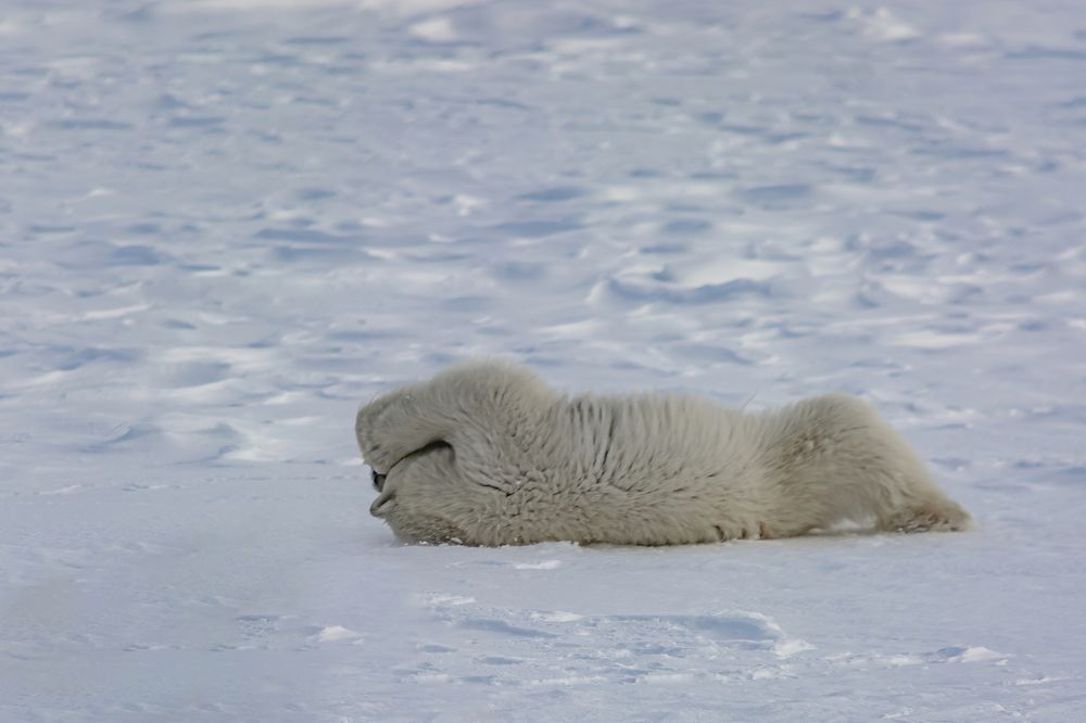 Фотография автора Ендовицкий Владимир