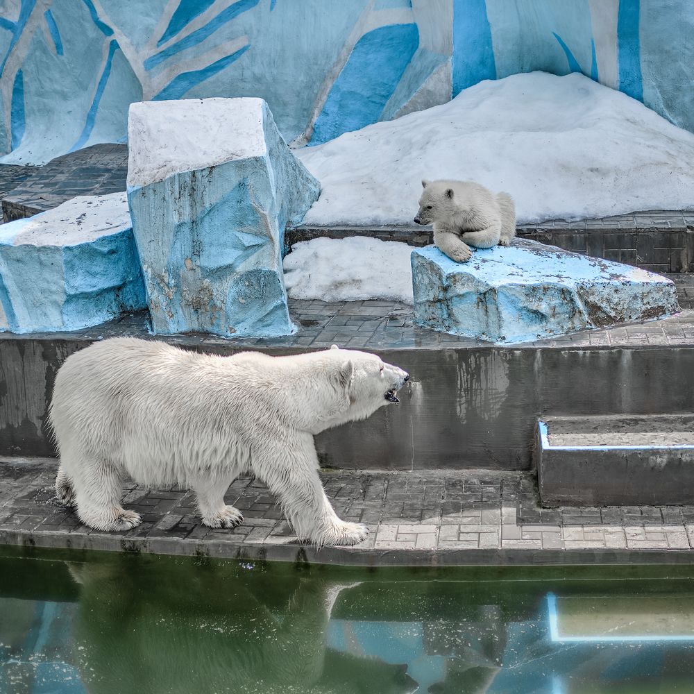 Photograph by Андрей Чернышов