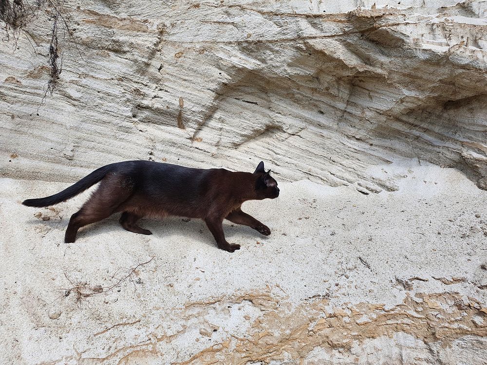 Фотография автора Надежда Лисицына