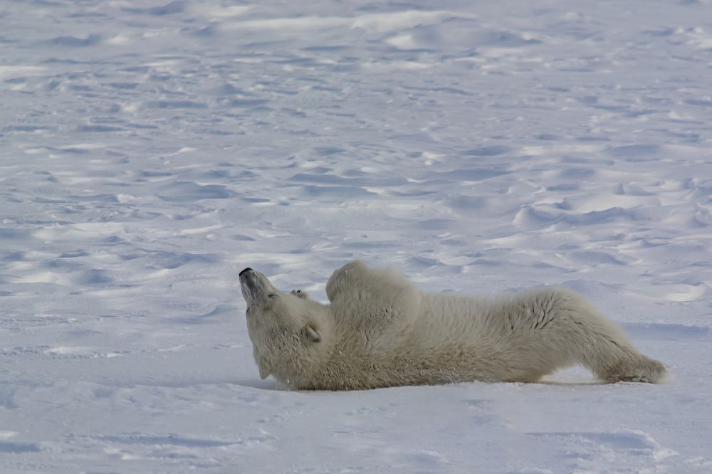 Фотография автора Ендовицкий Владимир