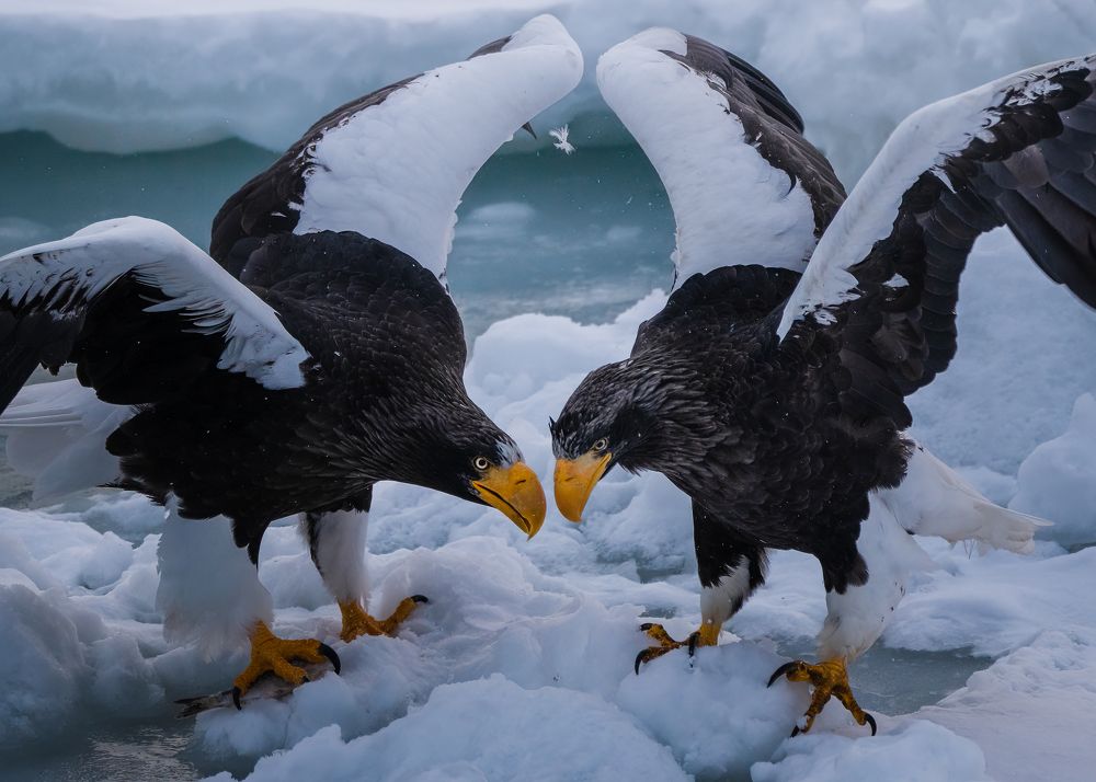 Photograph by Matsubara Hiroki