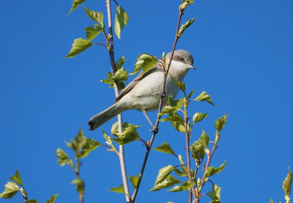 Photograph by Михаил Трусов