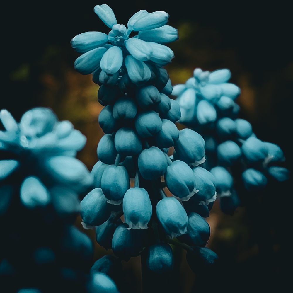 Фотография автора Нина Зинченко