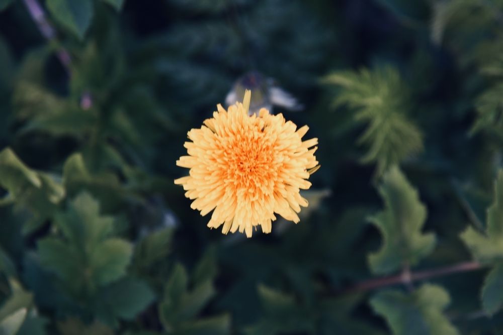Photograph by Ольга Струкалина