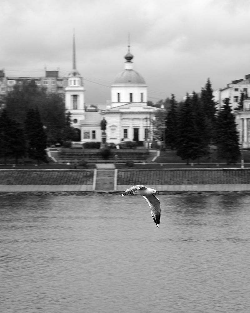 Photograph by Лебедев Кирилл