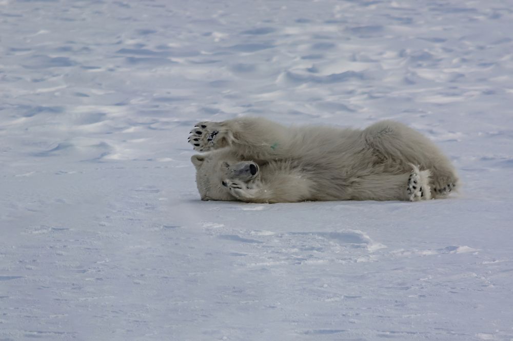 Фотография автора Ендовицкий Владимир