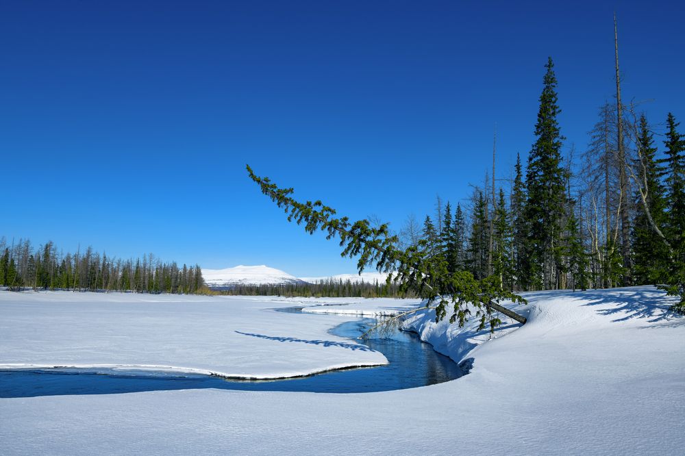 Photograph by Ирина Ульянова