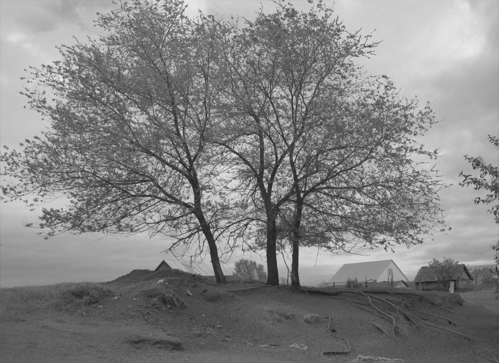 Photograph by Марина Юрченко