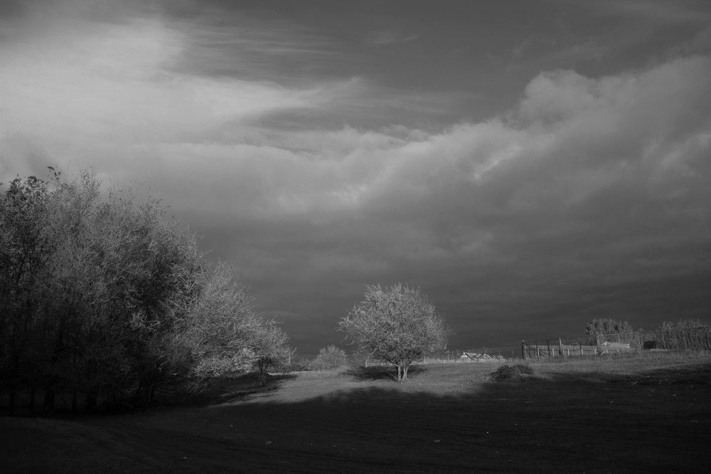 Photograph by Марина Юрченко