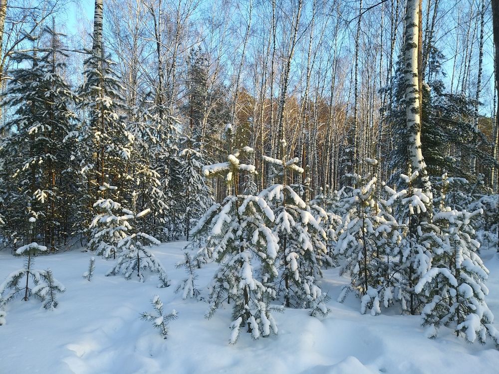 Photograph by Инна Голубева