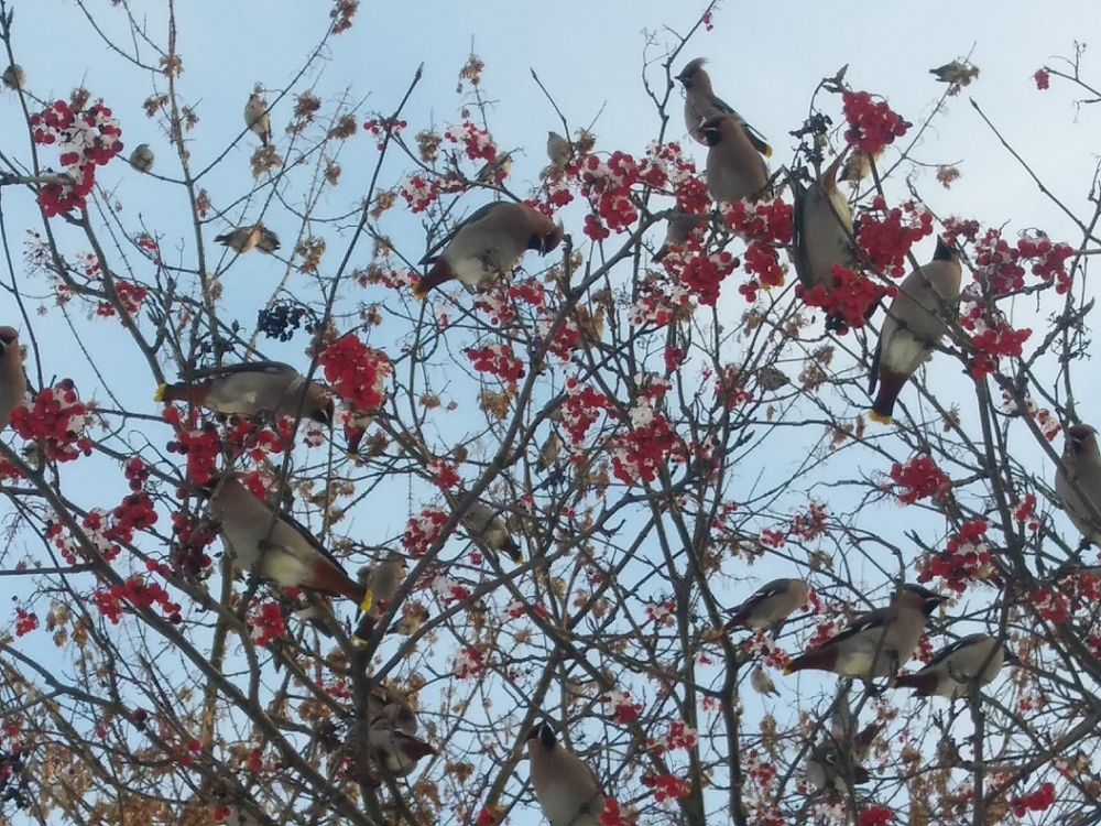 Photograph by Инна Голубева