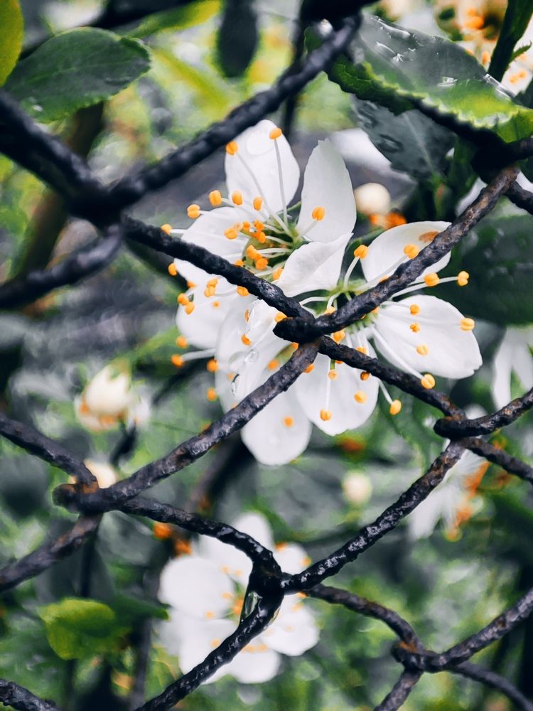 Photograph by Мария Козыренцева