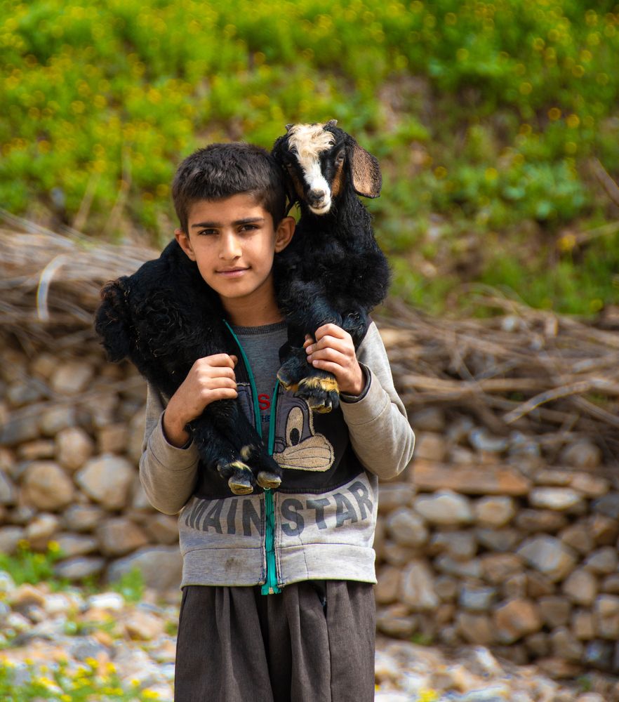 Фотография автора kazem kakaei