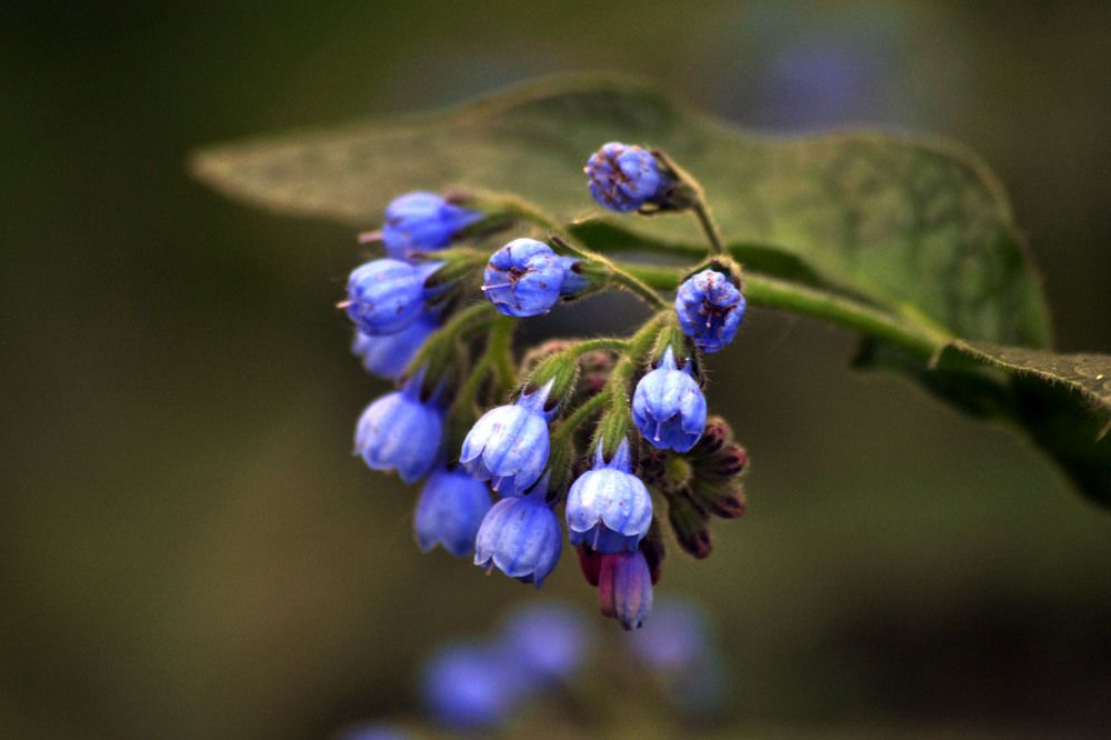 Photograph by Екатерина