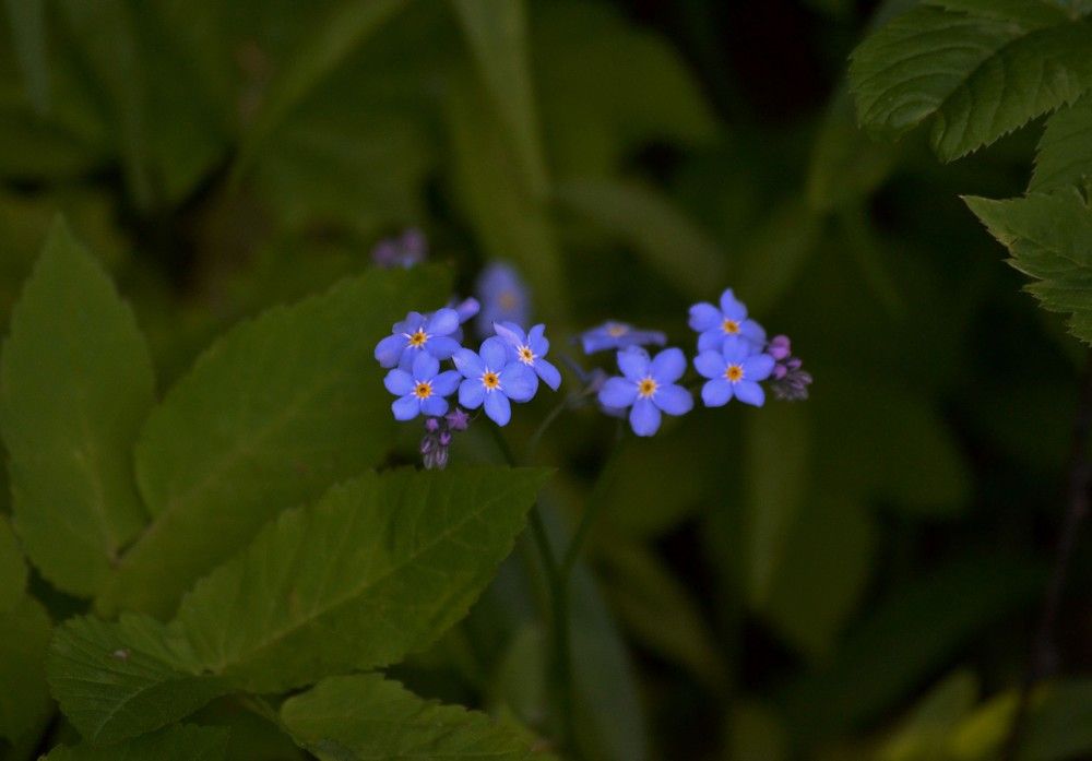 Photograph by Екатерина