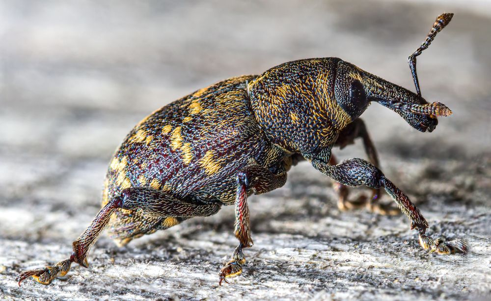 Photograph by Парфентьев Антон