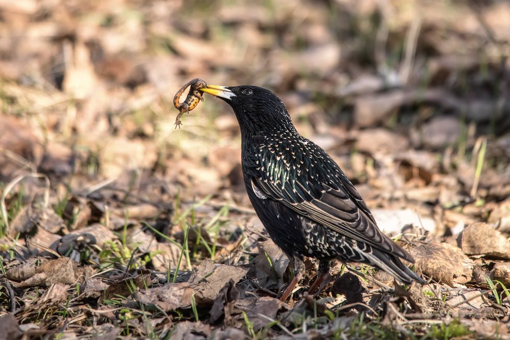 Photograph by Владимир Колесников