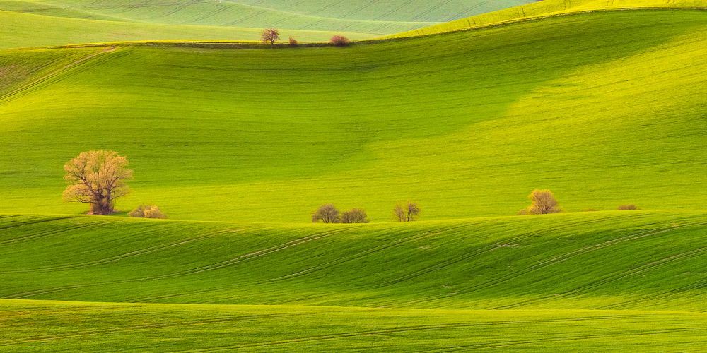 Фотография автора Cernansky Marian
