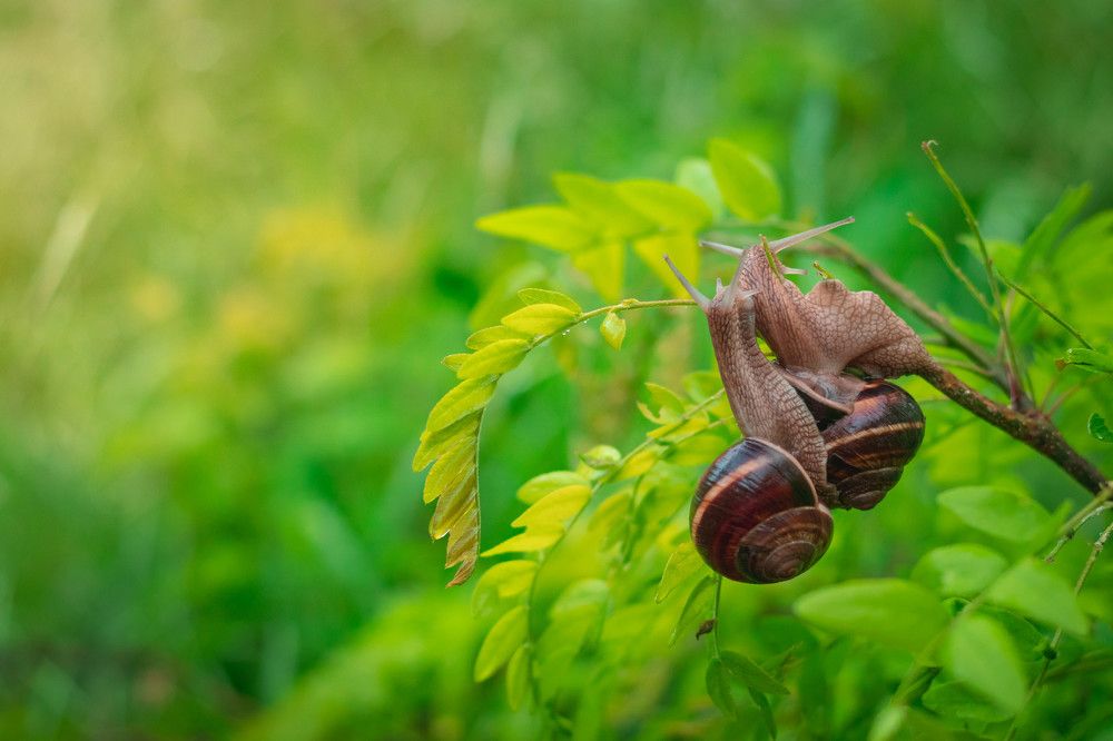 Photograph by Галина Литвинова
