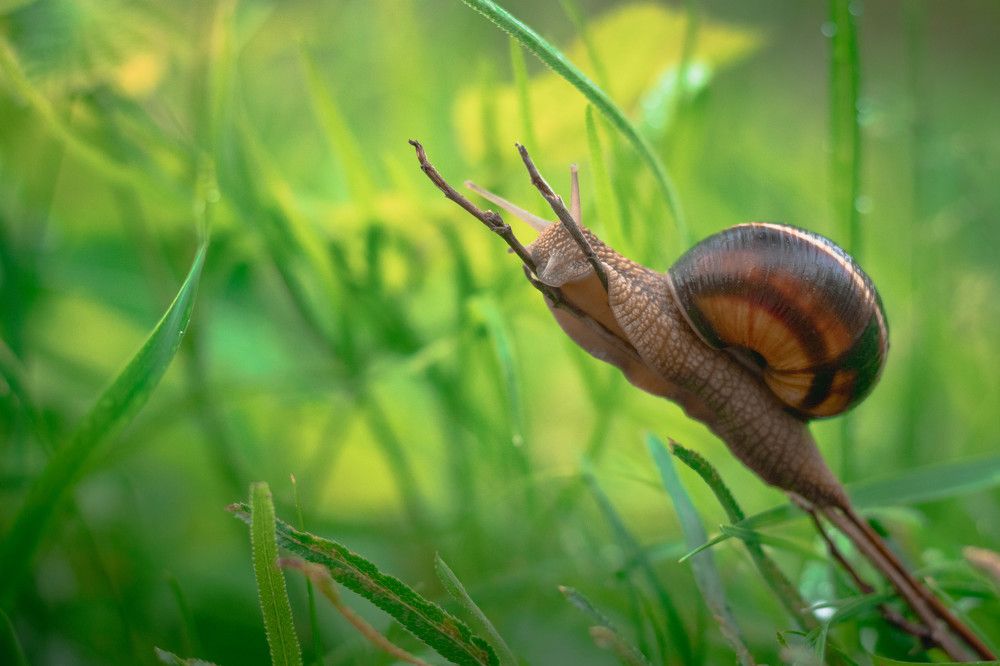 Photograph by Галина Литвинова