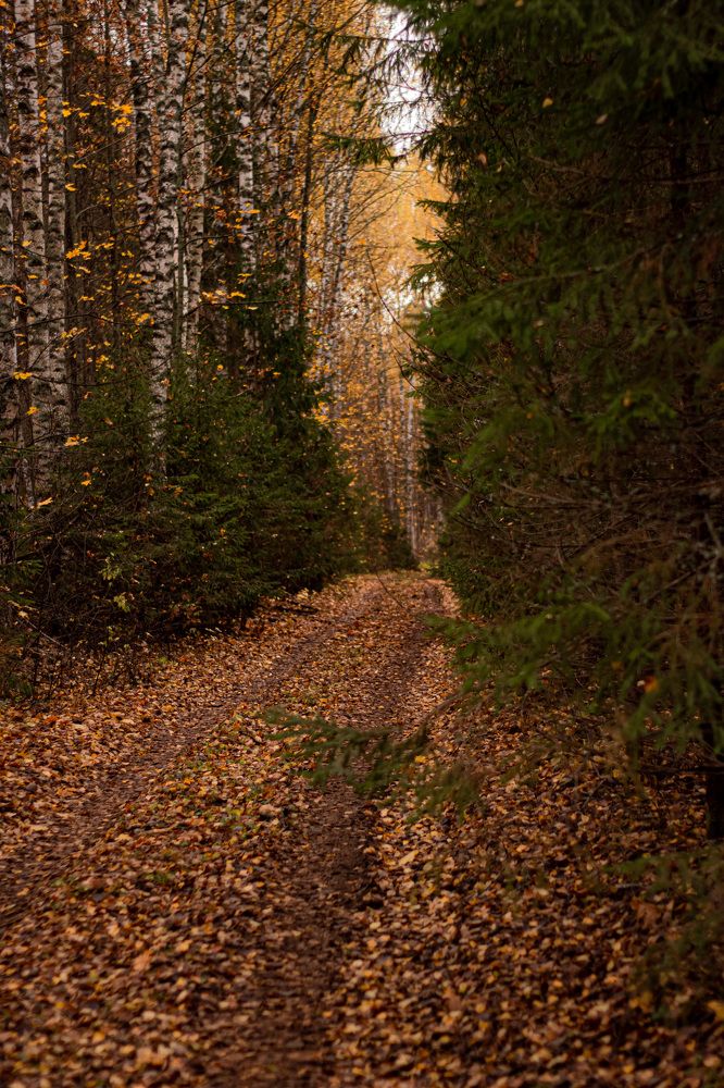 Photograph by Михаил Костыря