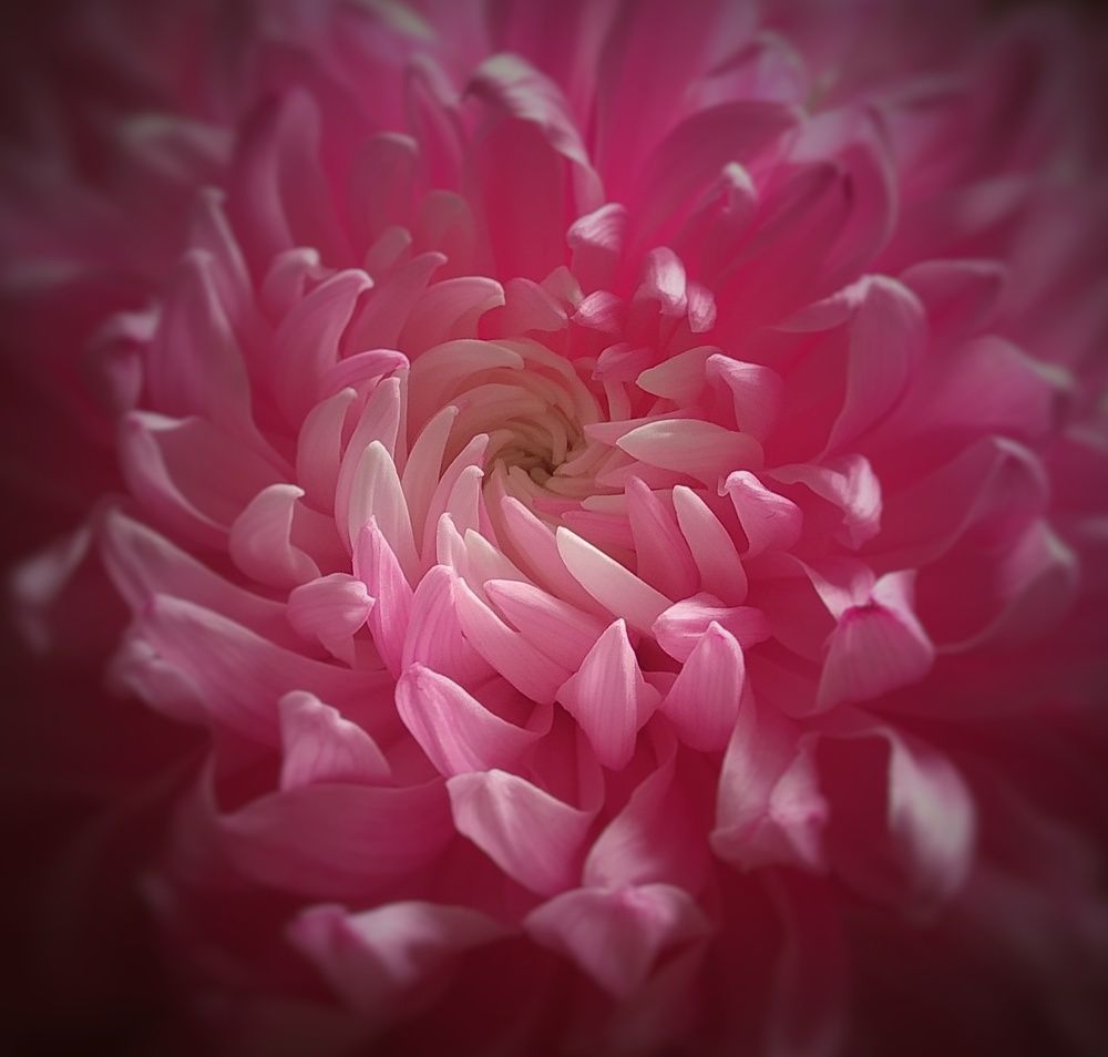 Photograph by Людмила М