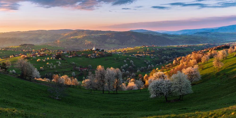 Фотография автора Marian Cernansky