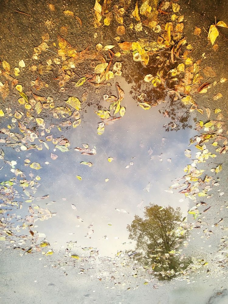 Photograph by Людмила М