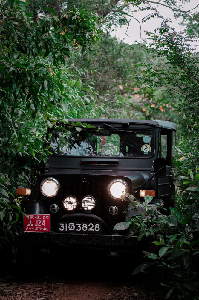 Photograph by DINETH NAMBUKARAWASAM MAHASARANGU HEWAG