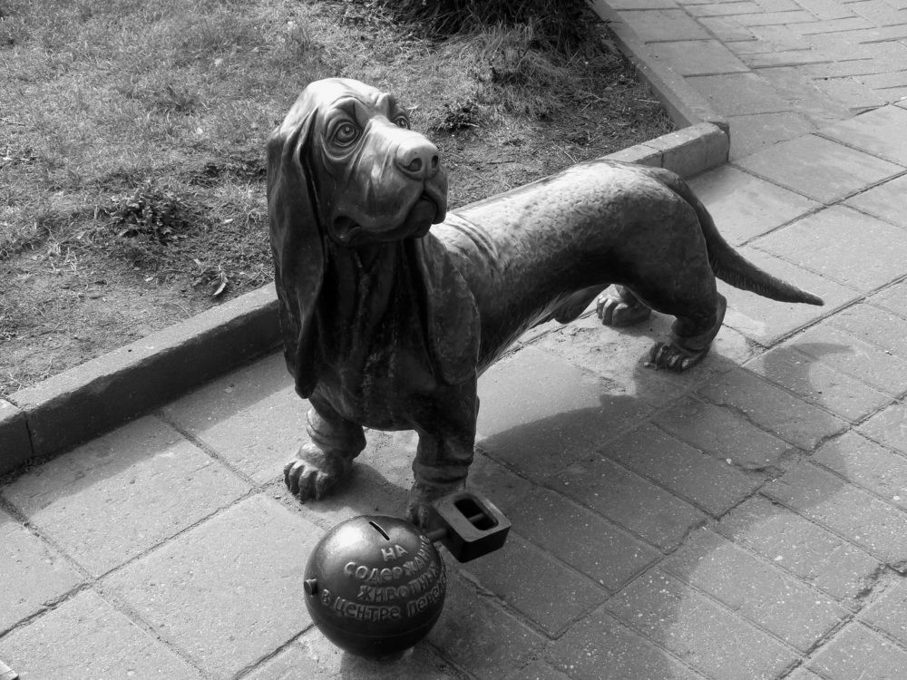 Photograph by Galina Leskova