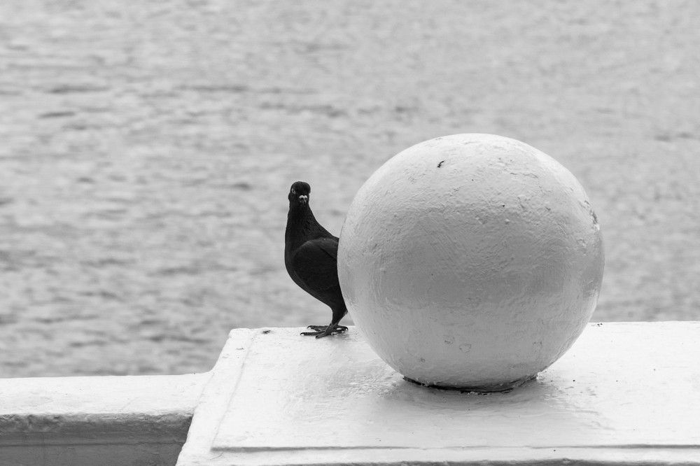 Photograph by Янина Найденцева