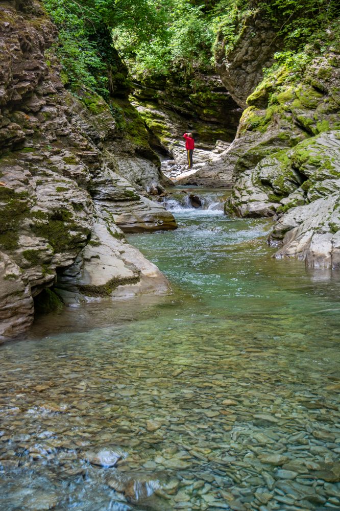 Photograph by Елена Плотникова