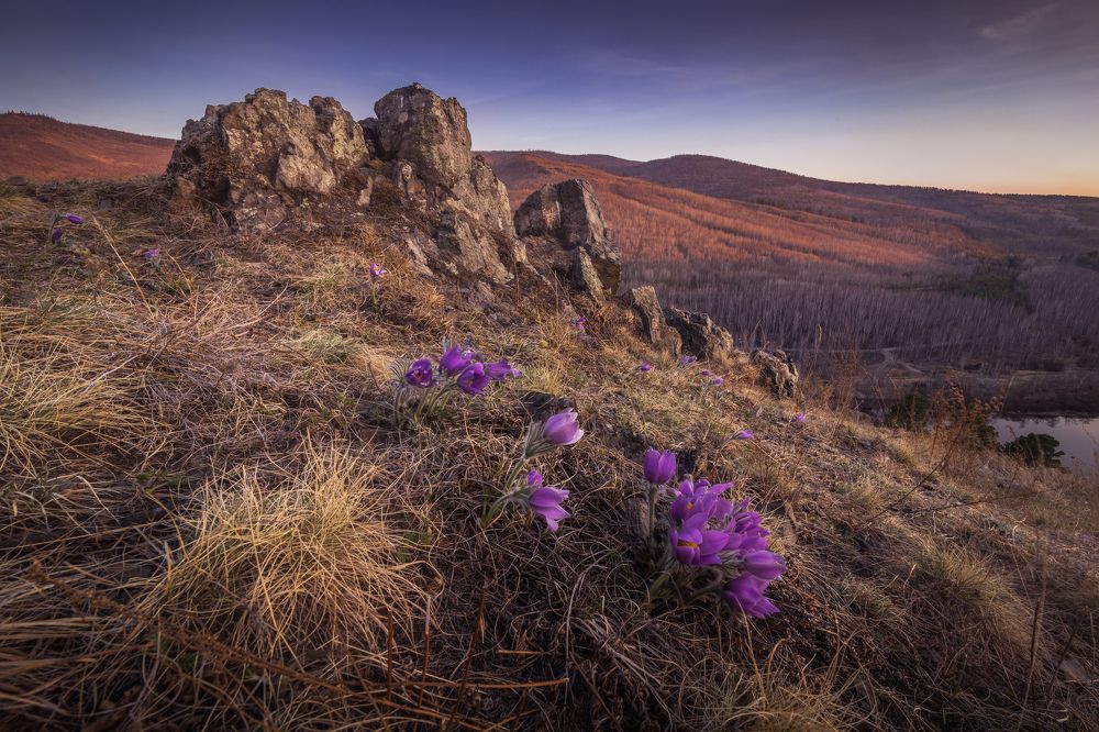 Photograph by Портных Дмитрий