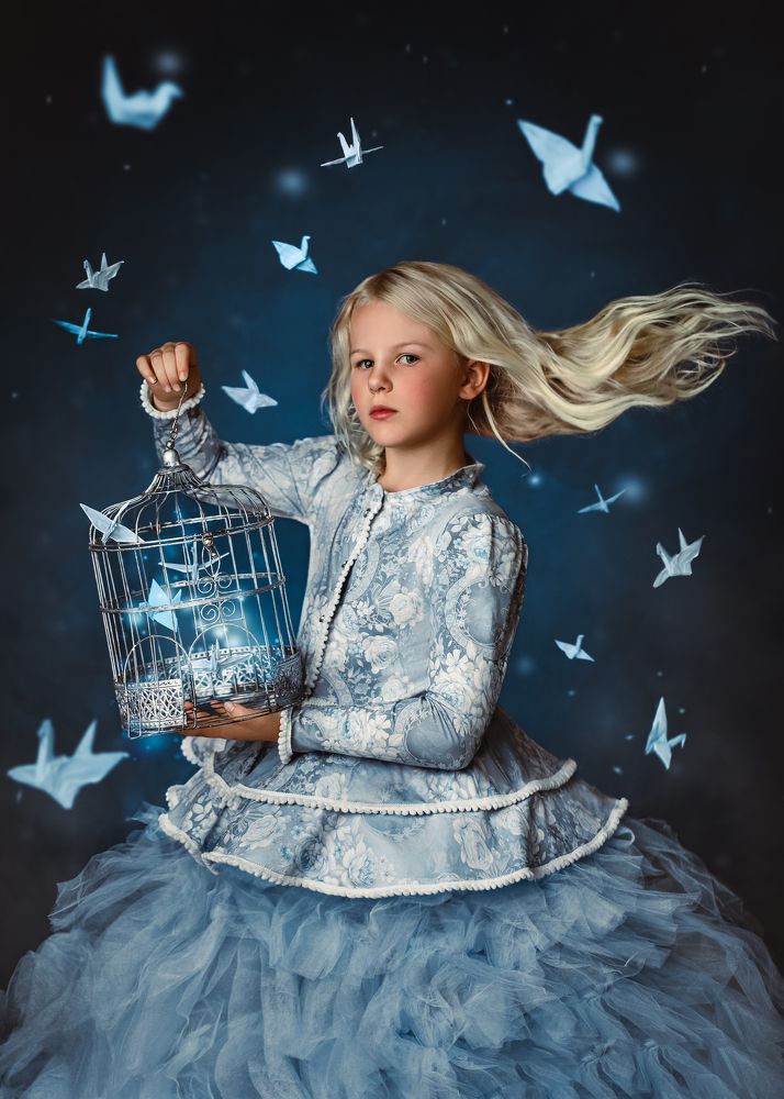 "Let your Dreams fly"