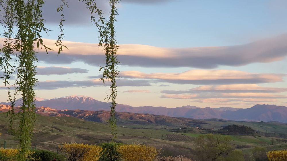 Photograph by Viktorova