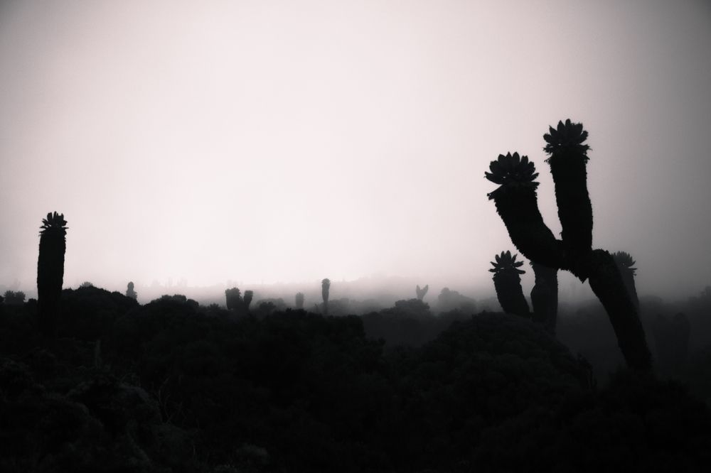 Photograph by wafae koubaa