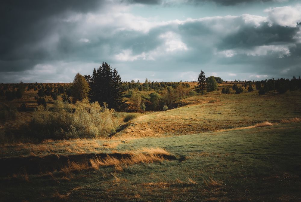 Photograph by Стас Деменев