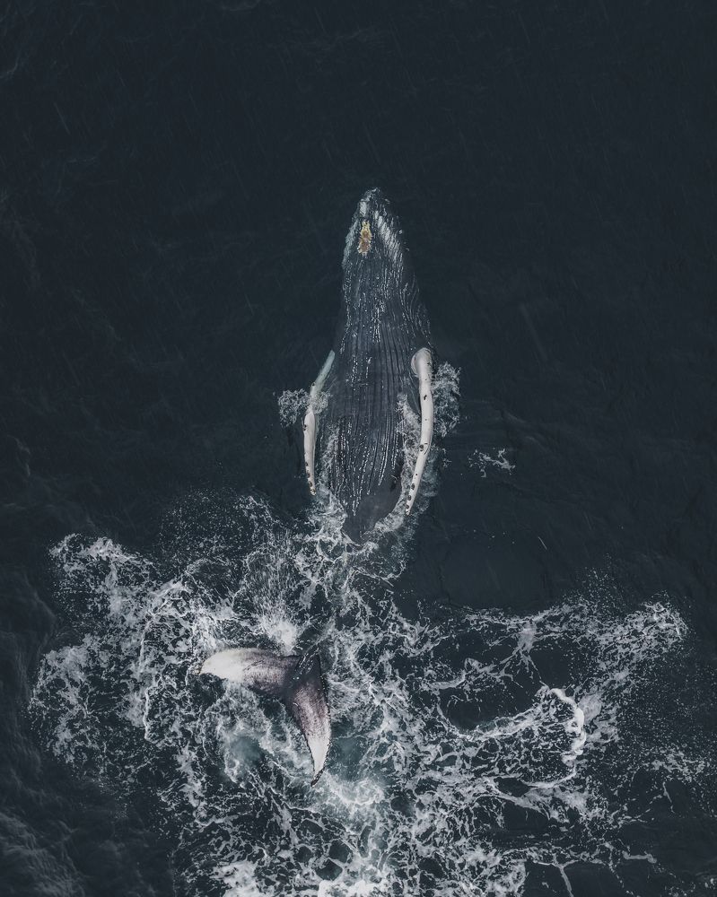 Photograph by Yan Silchenko