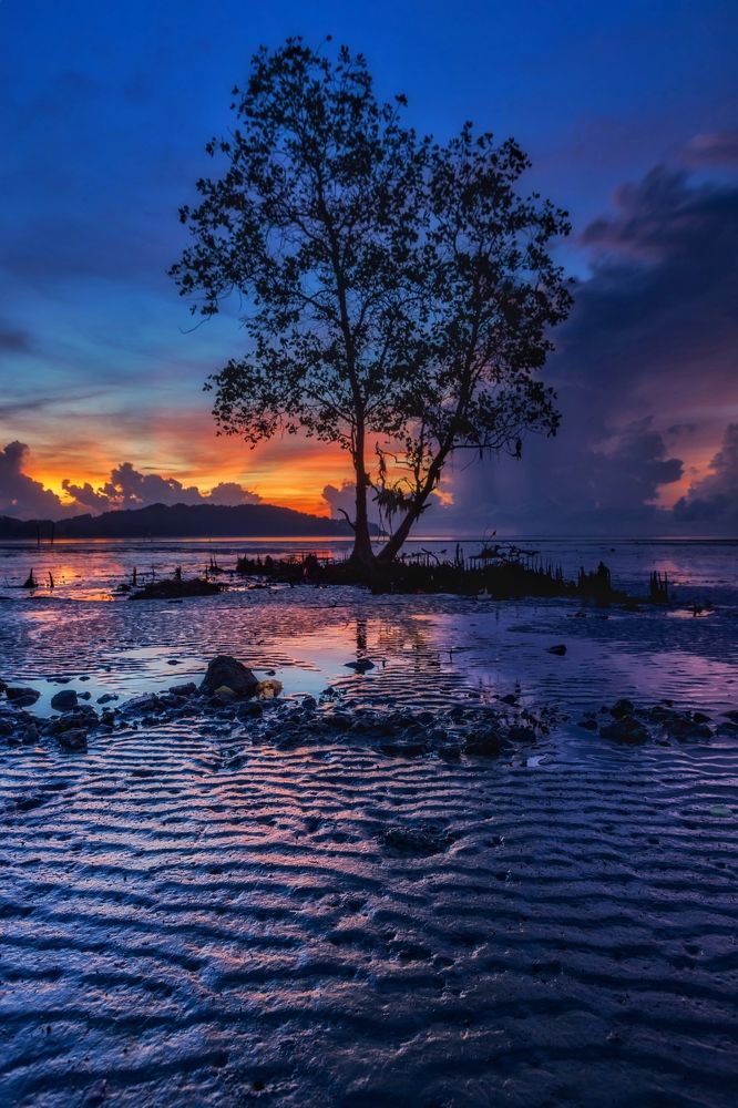 Photograph by Mohd Ezzat Moh Rasjid