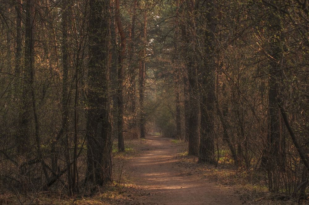 Photograph by Владимир Янчук