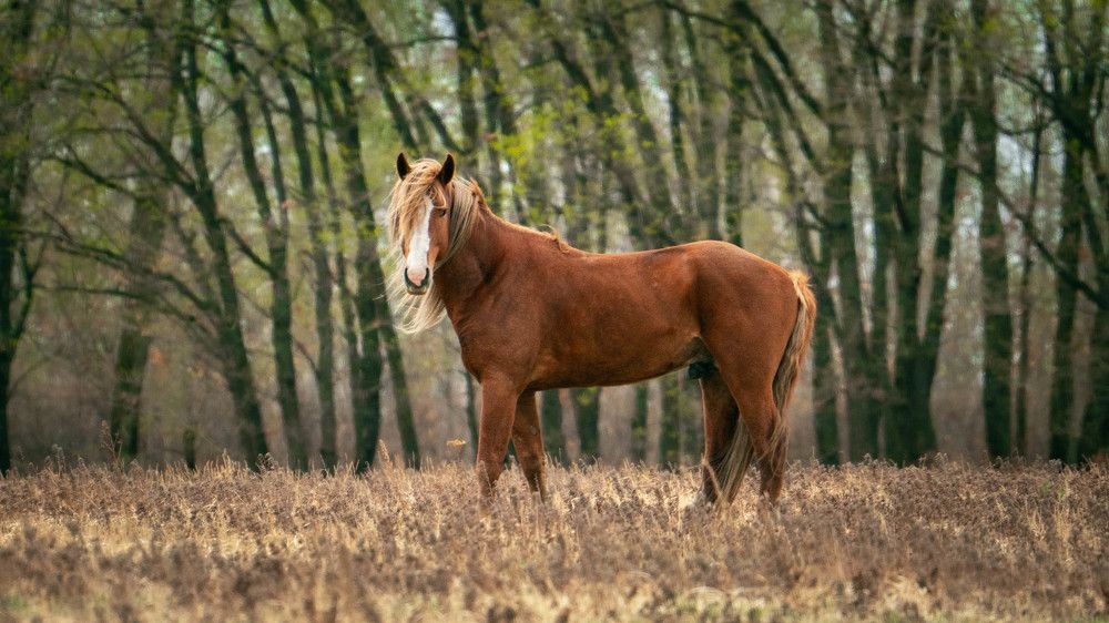 Photograph by Игорь Иванов