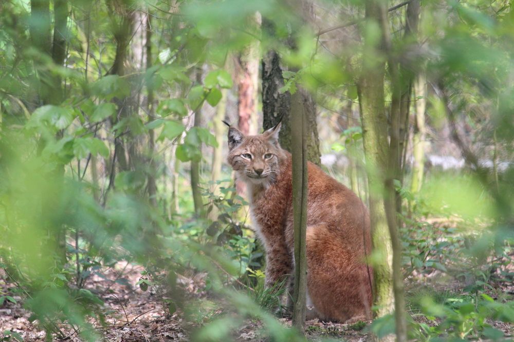 Photograph by Viktor Dikmann