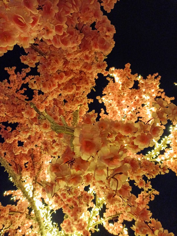 Photograph by Александр Батурин