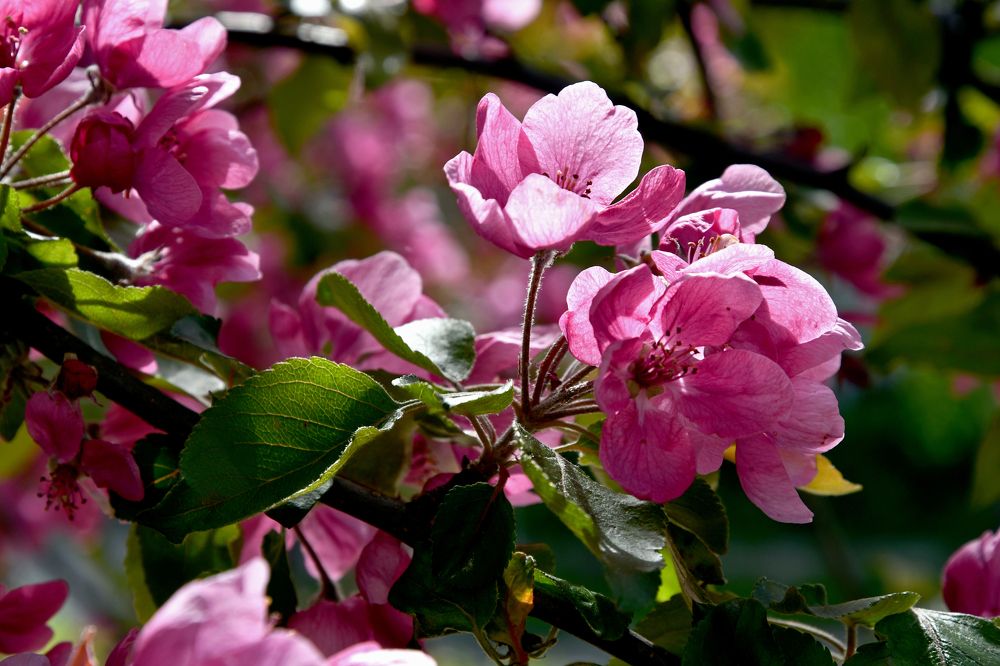 Photograph by Ксения Мироненко